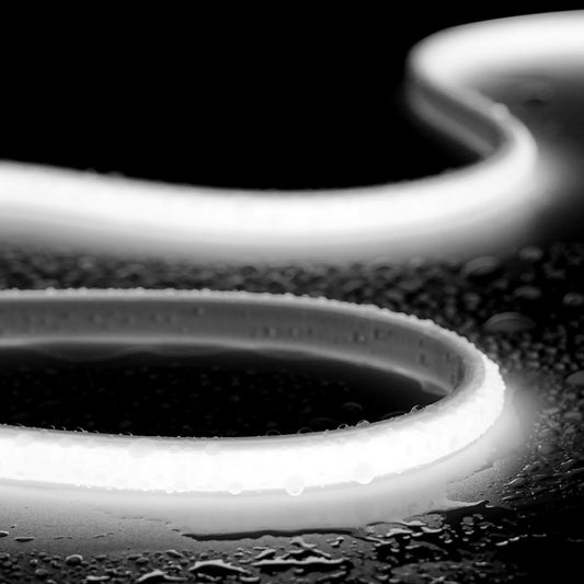 SLN08 Dotless Neon LED Strip Light 110-120V IP65 Outdoor, Dimmable, High-Voltage Silicone with Adhesive